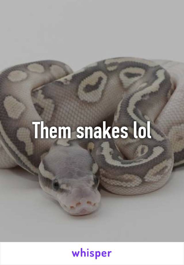 Them snakes lol