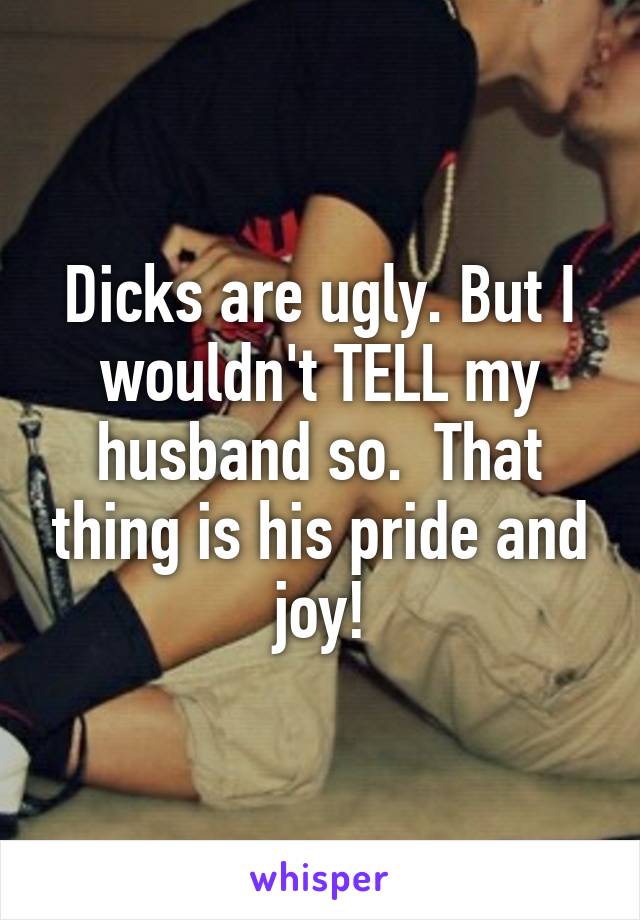 Dicks are ugly. But I wouldn't TELL my husband so.  That thing is his pride and joy!