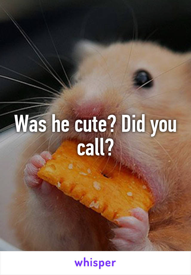 Was he cute? Did you call?