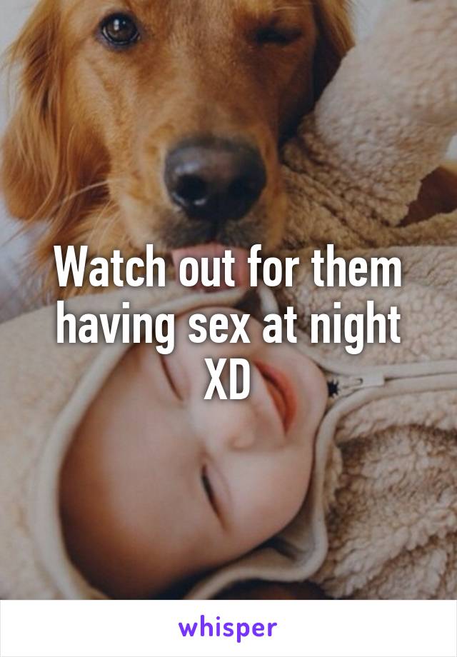 Watch out for them having sex at night XD