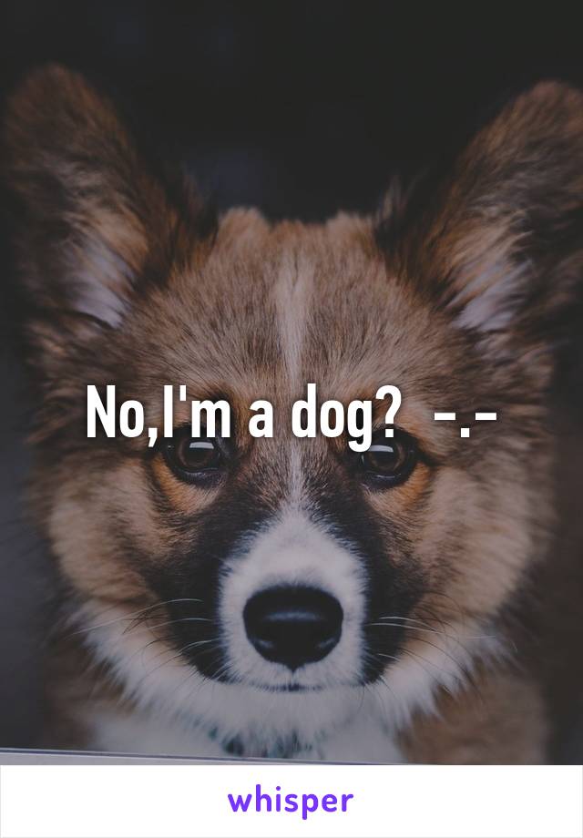 No,I'm a dog?  -.-