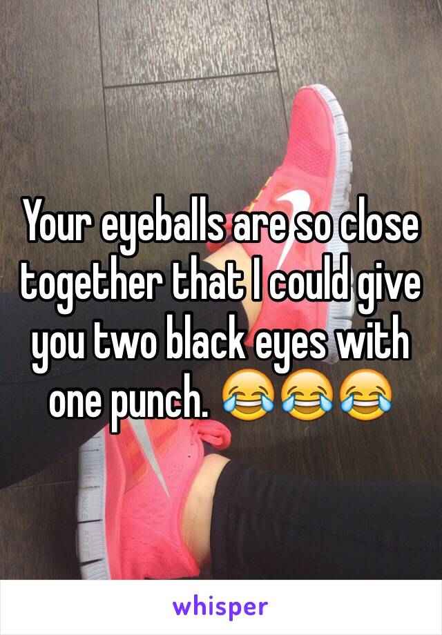 Your eyeballs are so close together that I could give you two black eyes with one punch. 😂😂😂