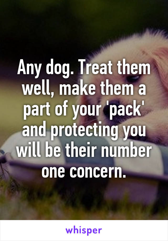 Any dog. Treat them well, make them a part of your 'pack' and protecting you will be their number one concern.