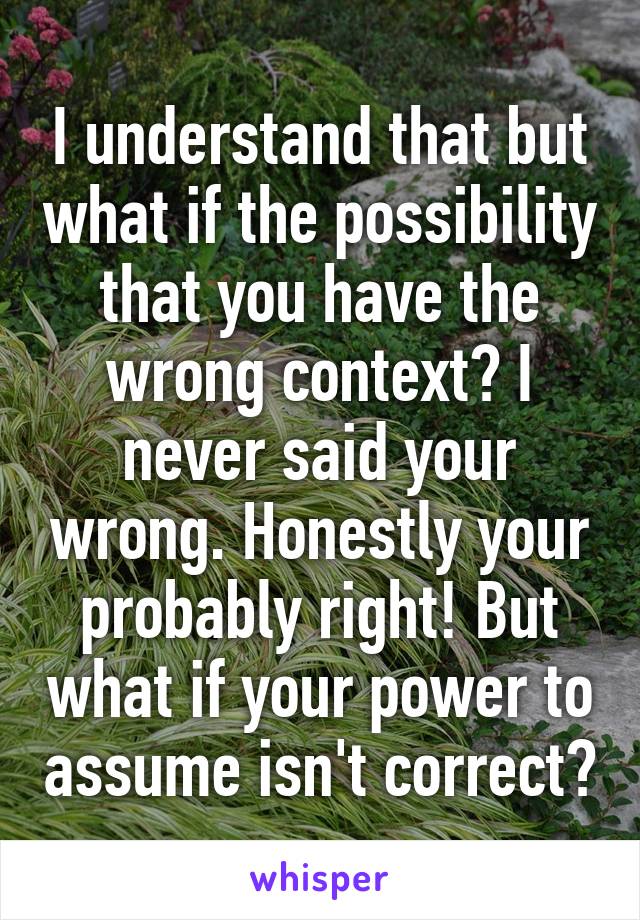 I understand that but what if the possibility that you have the wrong context? I never said your wrong. Honestly your probably right! But what if your power to assume isn't correct?