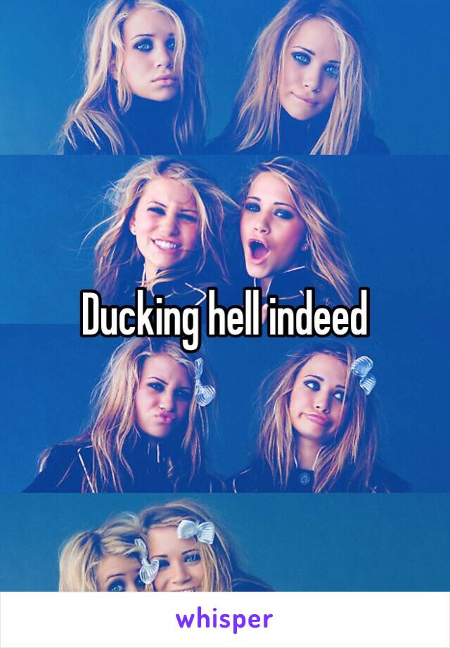 Ducking hell indeed 