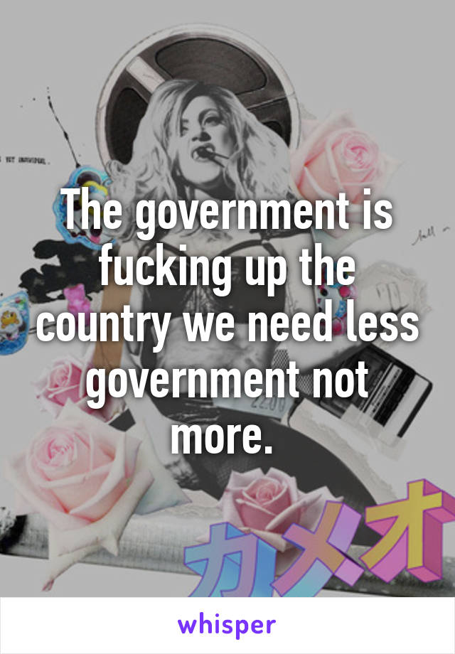 The government is fucking up the country we need less government not more. 