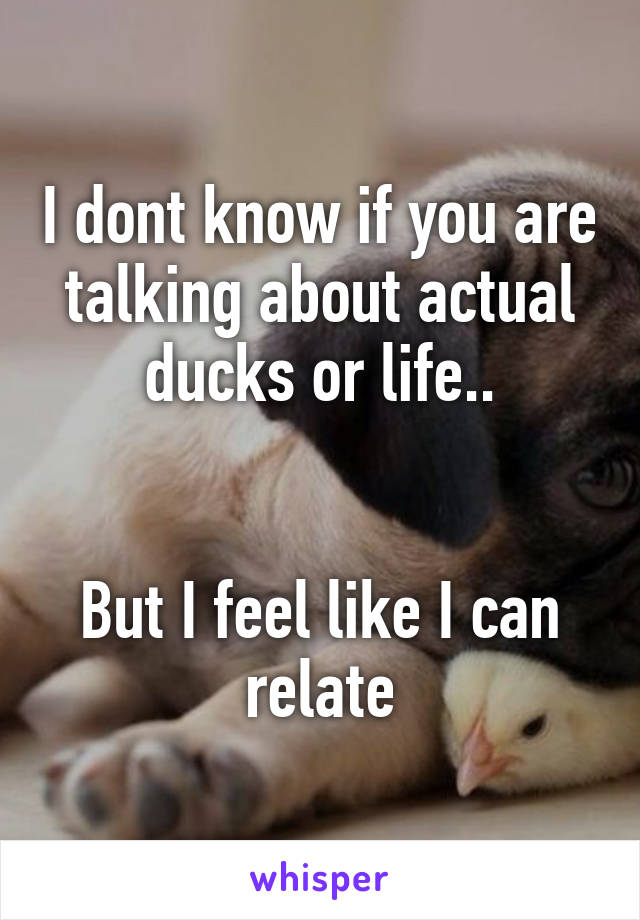 I dont know if you are talking about actual ducks or life..


But I feel like I can relate