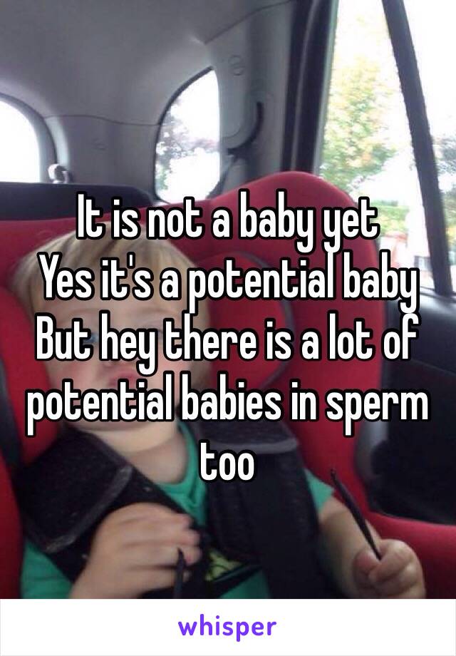 It is not a baby yet
Yes it's a potential baby
But hey there is a lot of potential babies in sperm too 
