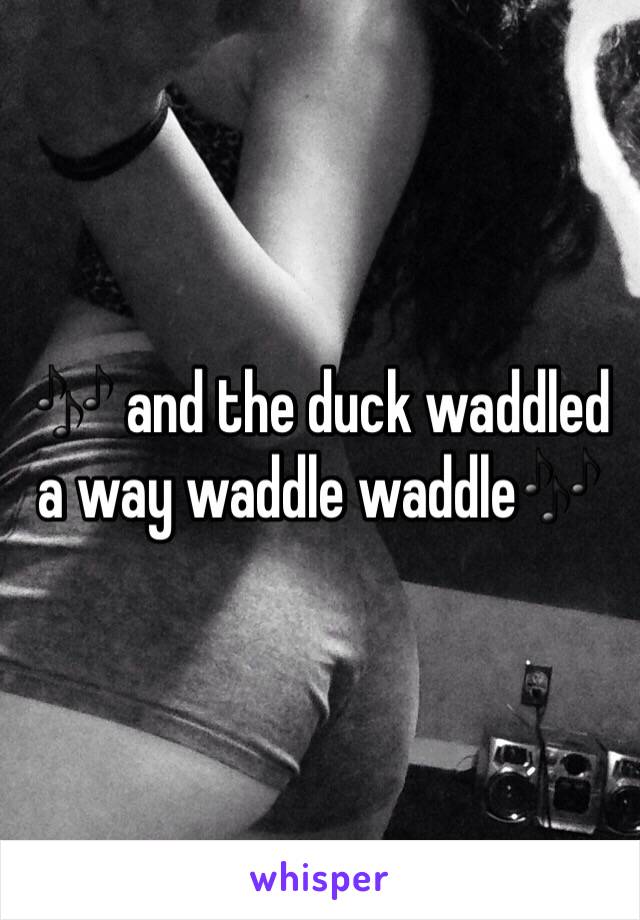 🎶 and the duck waddled a way waddle waddle🎶