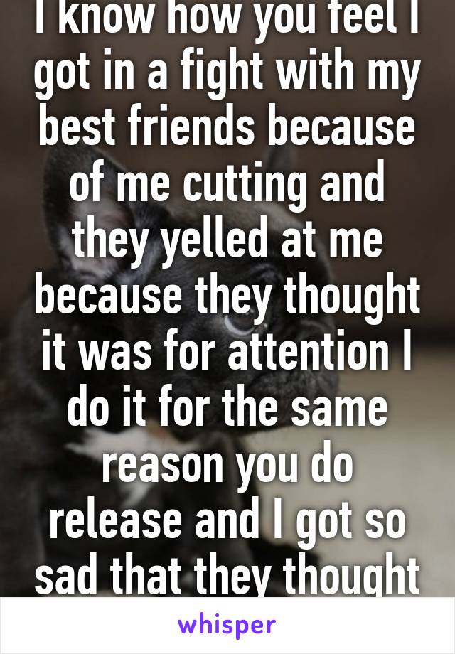 I know how you feel I got in a fight with my best friends because of me cutting and they yelled at me because they thought it was for attention I do it for the same reason you do release and I got so sad that they thought that 