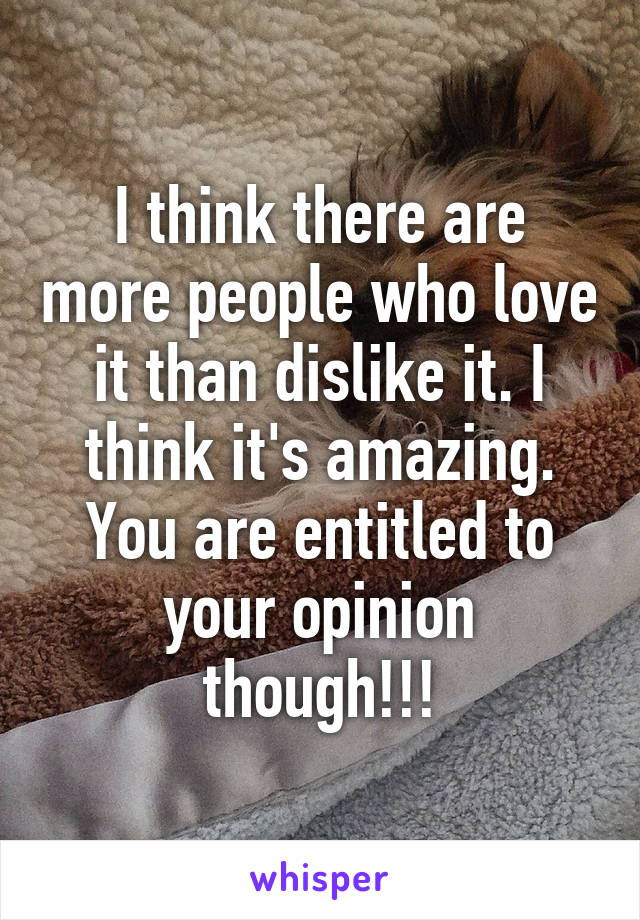 I think there are more people who love it than dislike it. I think it's amazing. You are entitled to your opinion though!!!