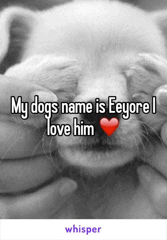 My dogs name is Eeyore I love him ❤️