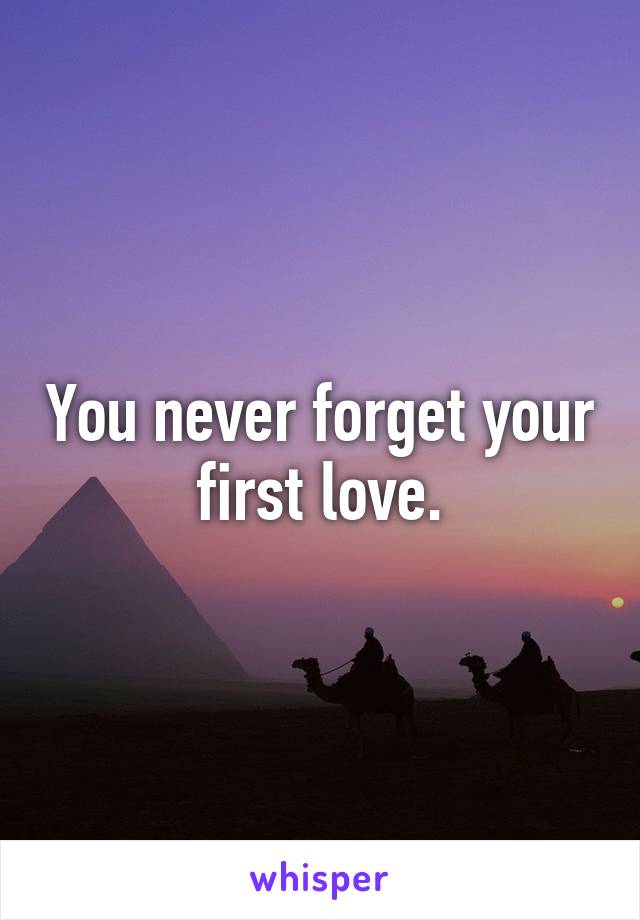 You never forget your first love.