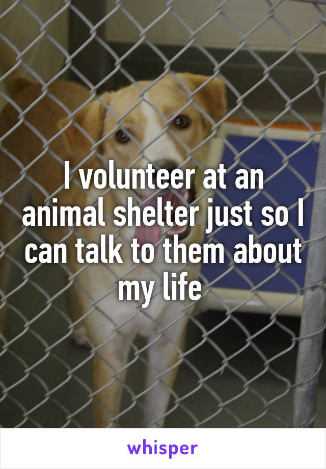 I volunteer at an animal shelter just so I can talk to them about my life 