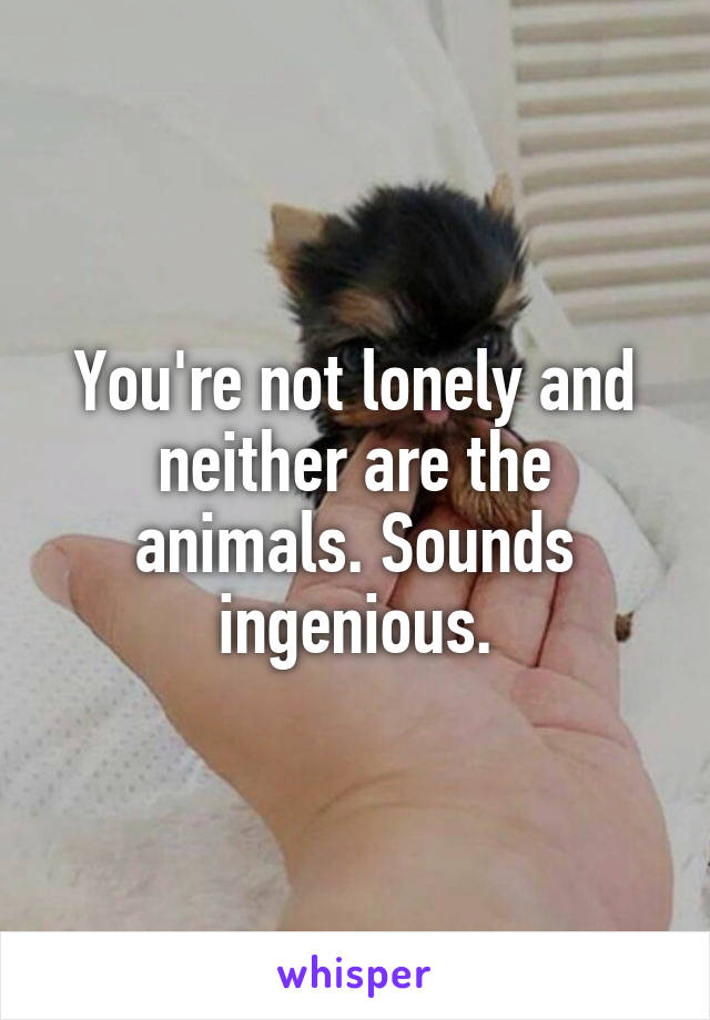 You're not lonely and neither are the animals. Sounds ingenious.