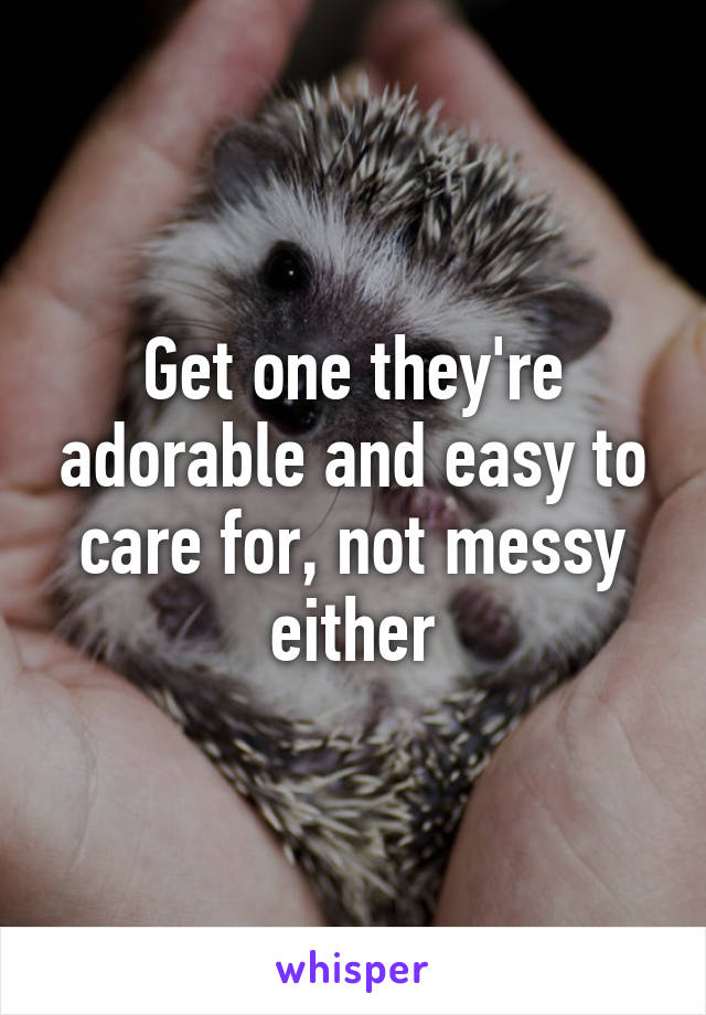 Get one they're adorable and easy to care for, not messy either