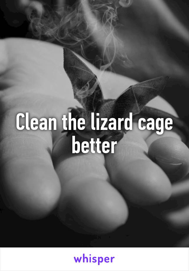 Clean the lizard cage better