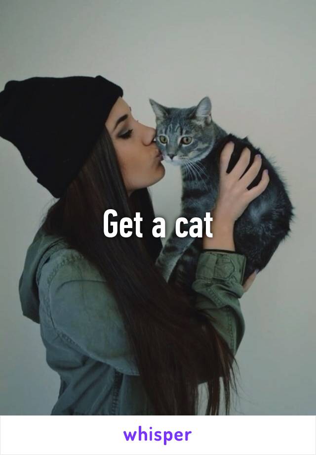 Get a cat