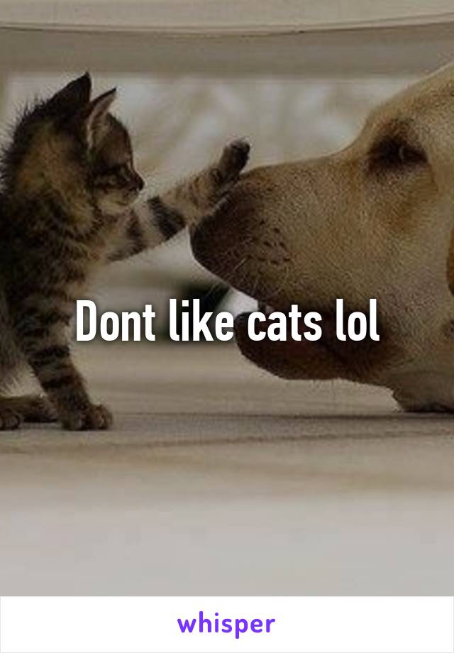 Dont like cats lol