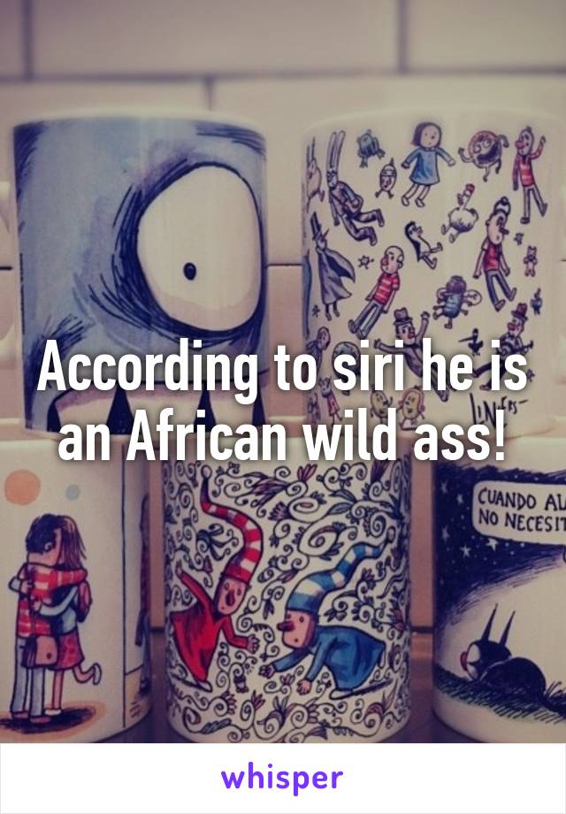 According to siri he is an African wild ass!