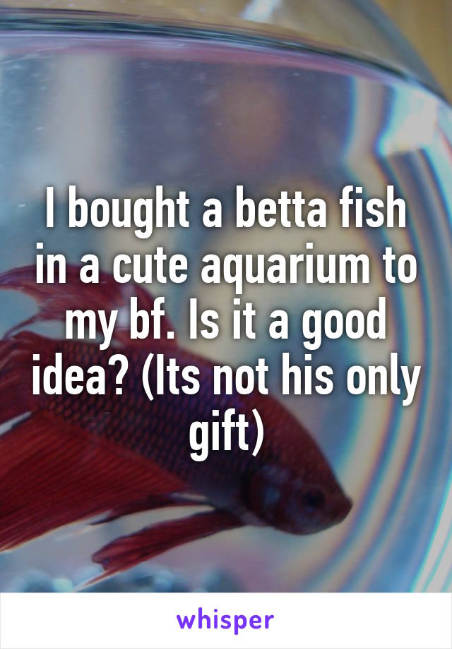 I bought a betta fish in a cute aquarium to my bf. Is it a good idea? (Its not his only gift)