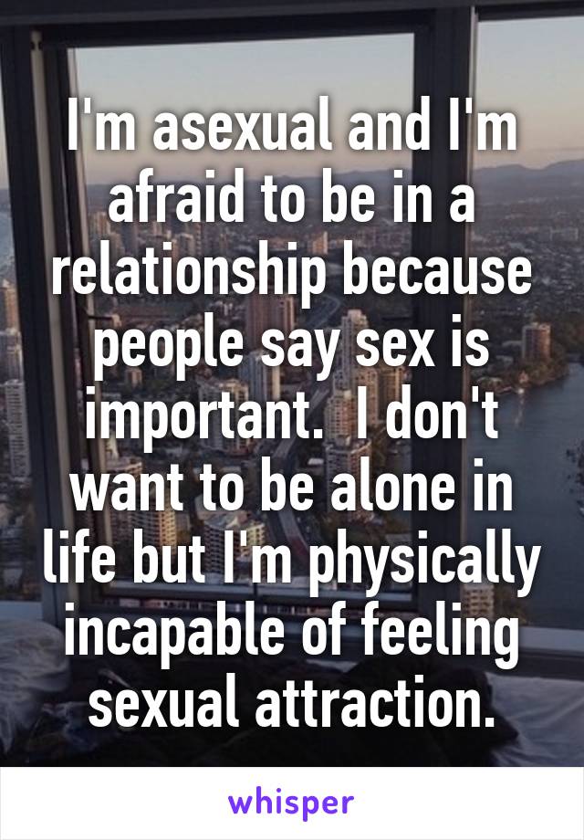 I'm asexual and I'm afraid to be in a relationship because people say sex is important.  I don't want to be alone in life but I'm physically incapable of feeling sexual attraction.