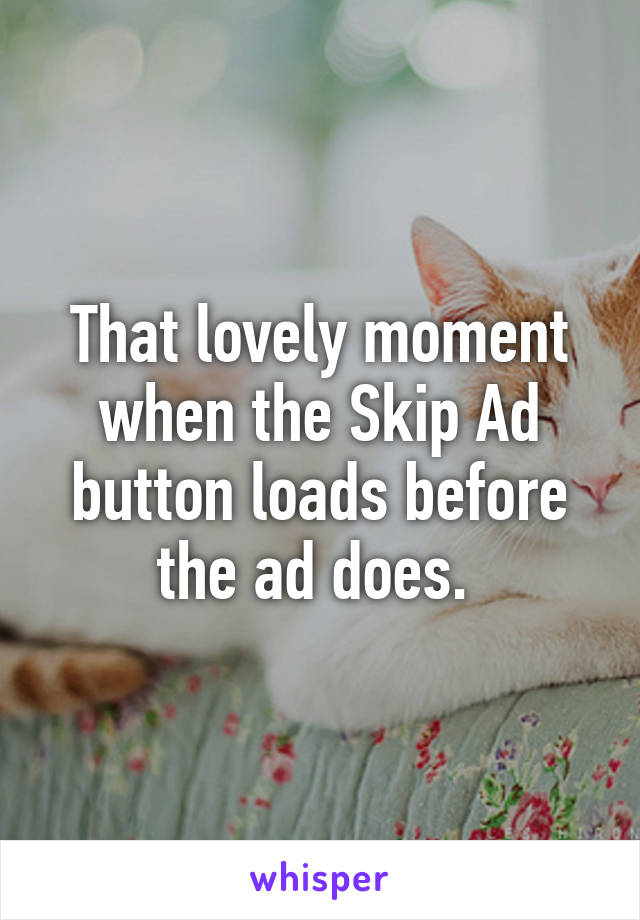 That lovely moment when the Skip Ad button loads before the ad does. 