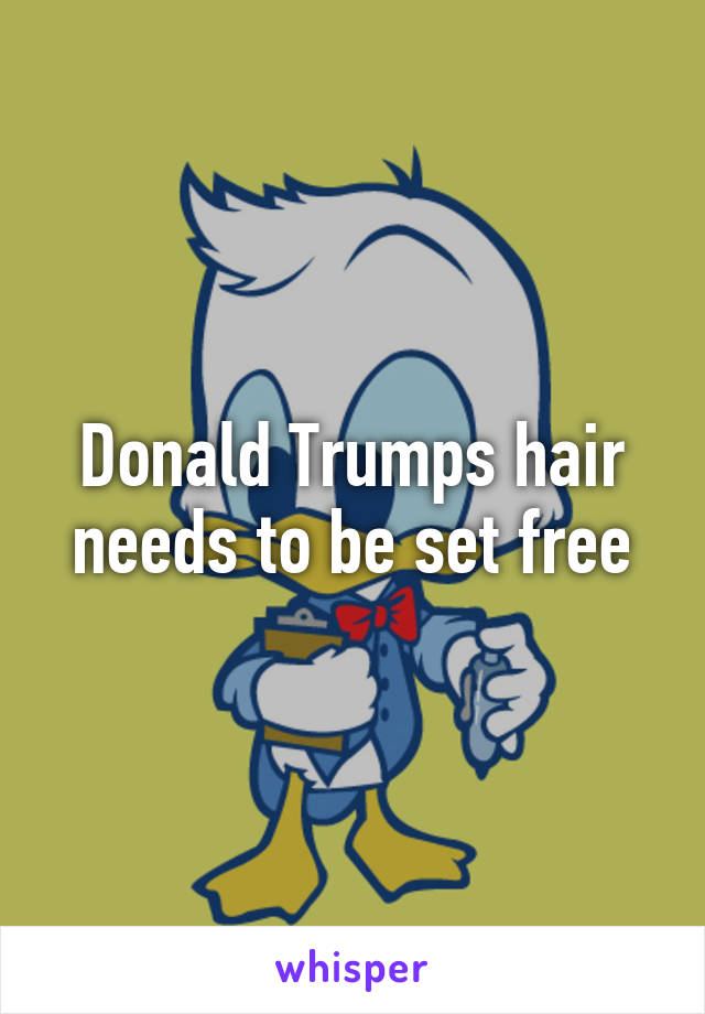 Donald Trumps hair needs to be set free