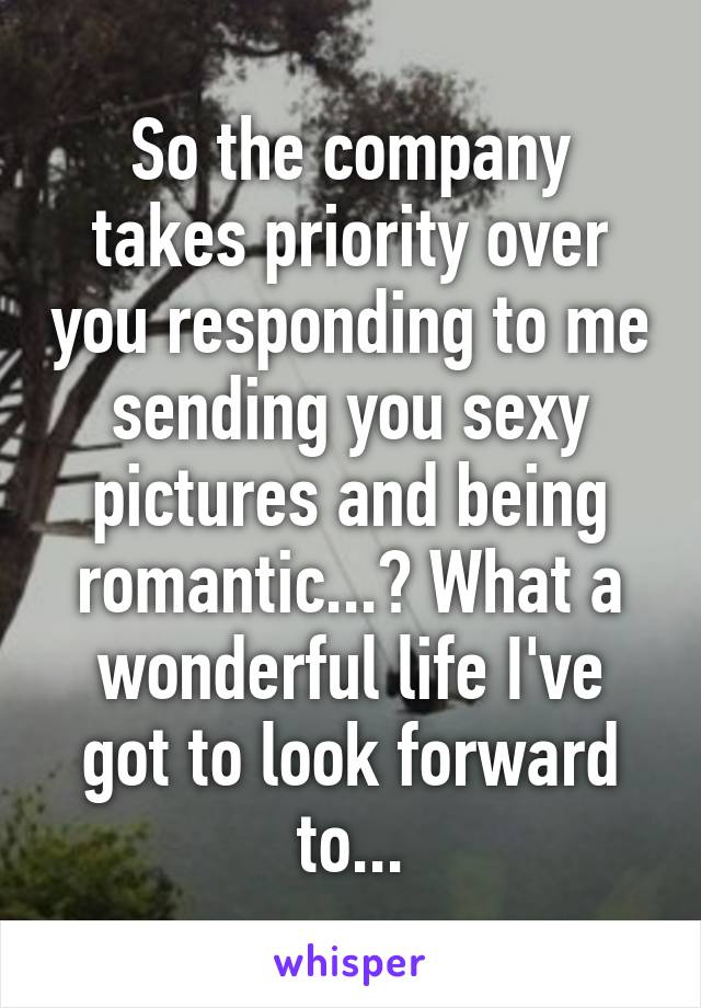 So the company takes priority over you responding to me sending you sexy pictures and being romantic...? What a wonderful life I've got to look forward to...