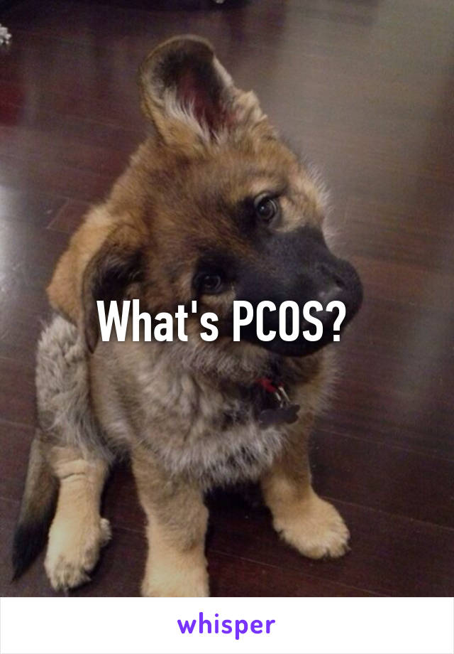 What's PCOS? 