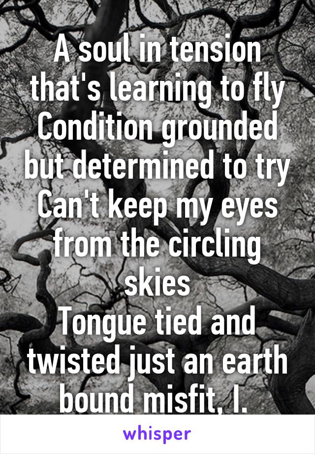 A soul in tension that's learning to fly
Condition grounded but determined to try
Can't keep my eyes from the circling skies
Tongue tied and twisted just an earth bound misfit, I. 