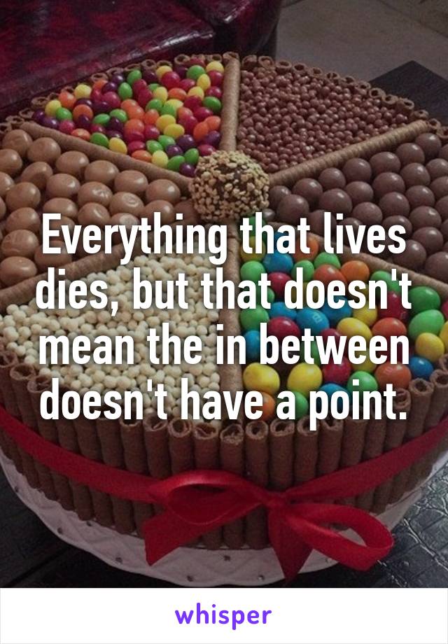 Everything that lives dies, but that doesn't mean the in between doesn't have a point.