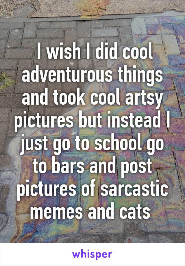  I wish I did cool adventurous things and took cool artsy pictures but instead I just go to school go to bars and post pictures of sarcastic memes and cats 