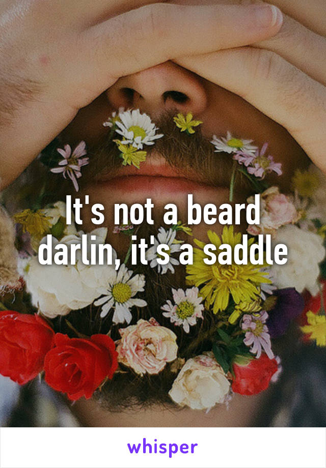 It's not a beard darlin, it's a saddle