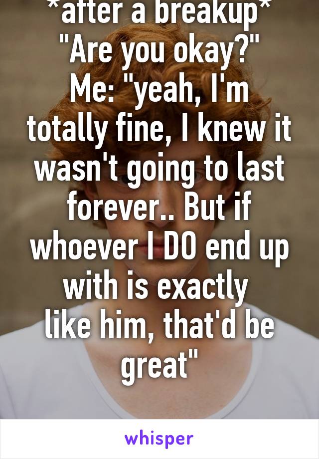 *after a breakup*
"Are you okay?"
Me: "yeah, I'm totally fine, I knew it wasn't going to last forever.. But if whoever I DO end up with is exactly 
like him, that'd be great"

