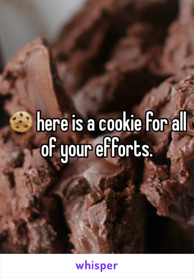 🍪 here is a cookie for all of your efforts. 