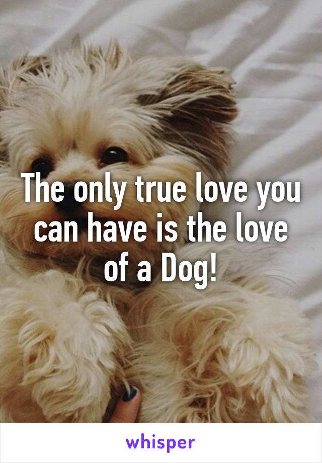 The only true love you can have is the love of a Dog!