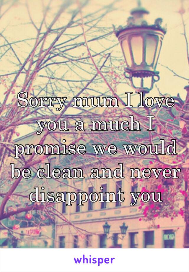 Sorry mum I love you a much I promise we would be clean and never disappoint you 