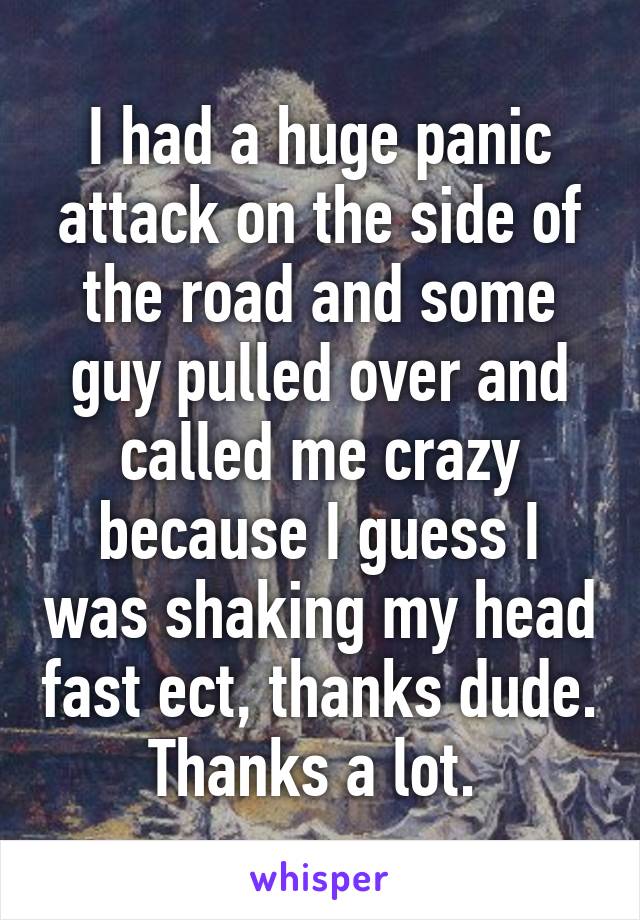 I had a huge panic attack on the side of the road and some guy pulled over and called me crazy because I guess I was shaking my head fast ect, thanks dude. Thanks a lot. 