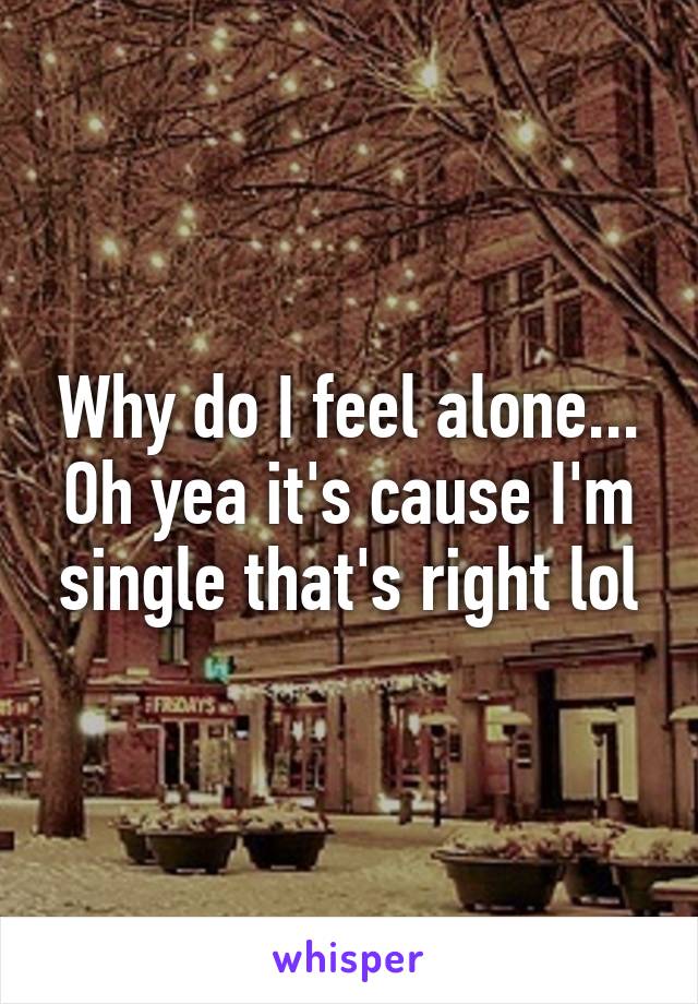 Why do I feel alone... Oh yea it's cause I'm single that's right lol