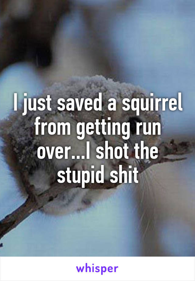 I just saved a squirrel from getting run over...I shot the stupid shit