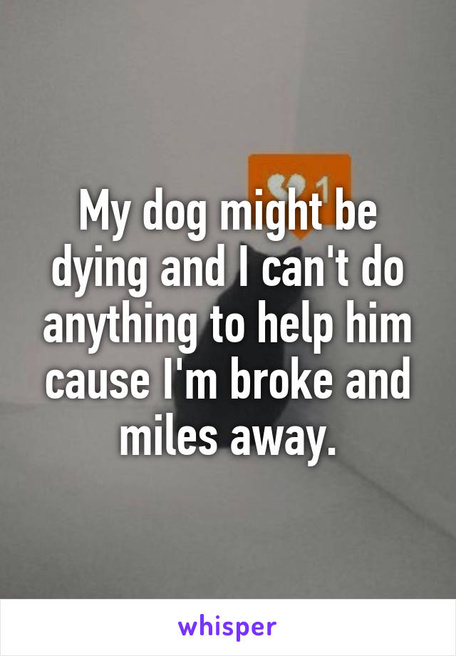 My dog might be dying and I can't do anything to help him cause I'm broke and miles away.