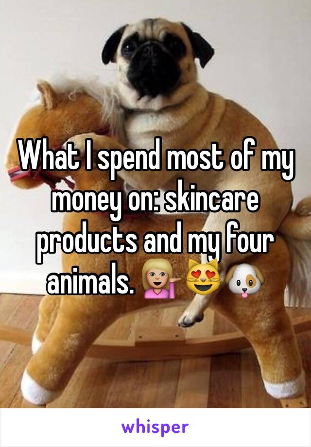 What I spend most of my money on: skincare products and my four animals. 💁🏼😻🐶