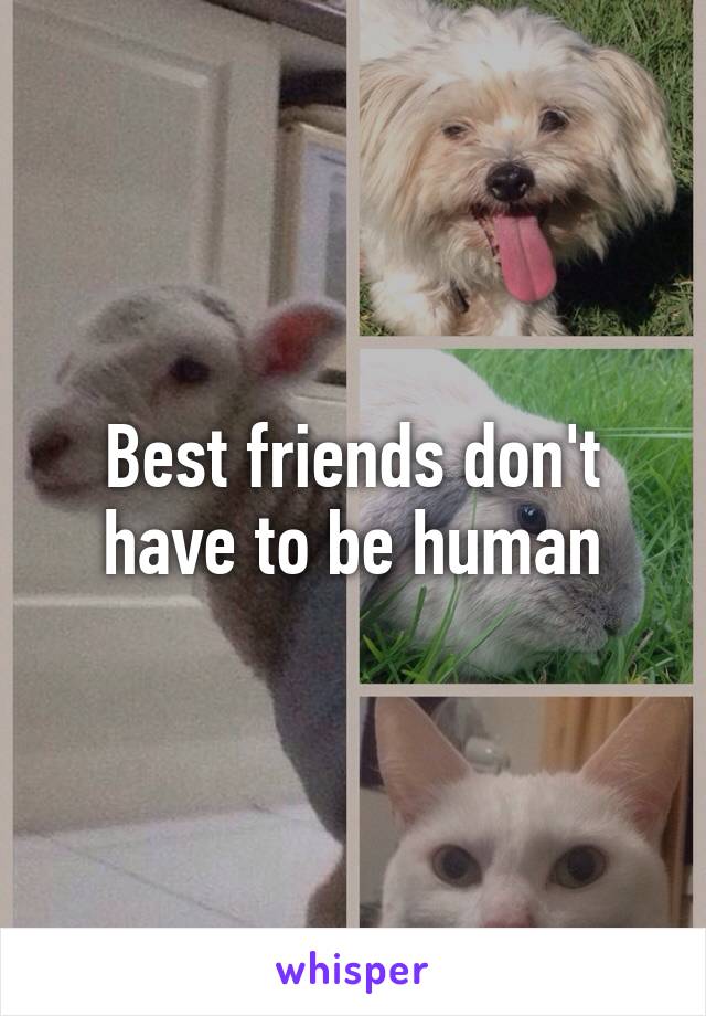 Best friends don't have to be human