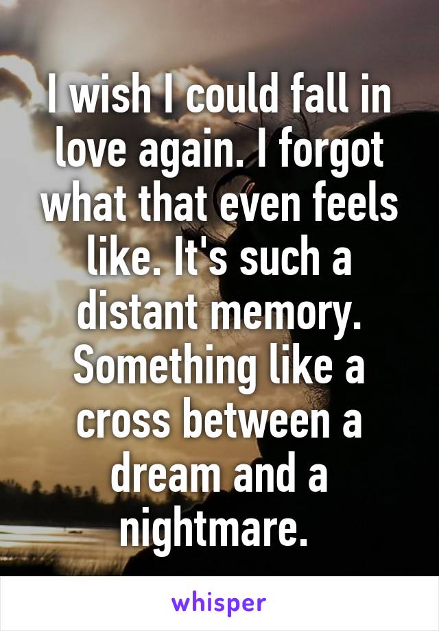 I wish I could fall in love again. I forgot what that even feels like. It's such a distant memory. Something like a cross between a dream and a nightmare. 