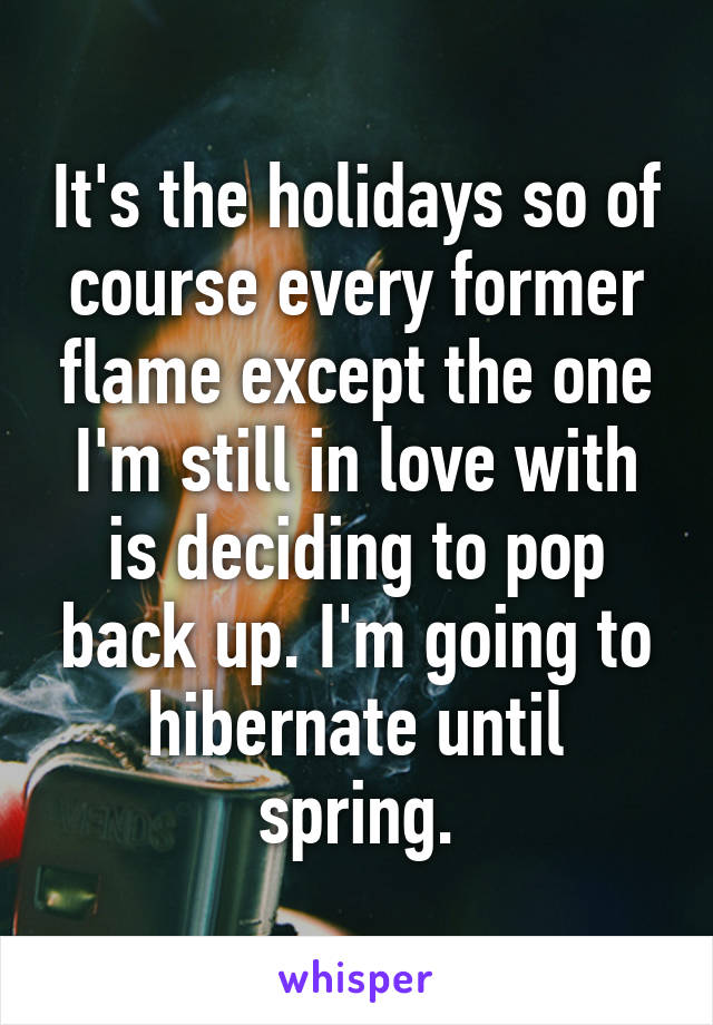 It's the holidays so of course every former flame except the one I'm still in love with is deciding to pop back up. I'm going to hibernate until spring.