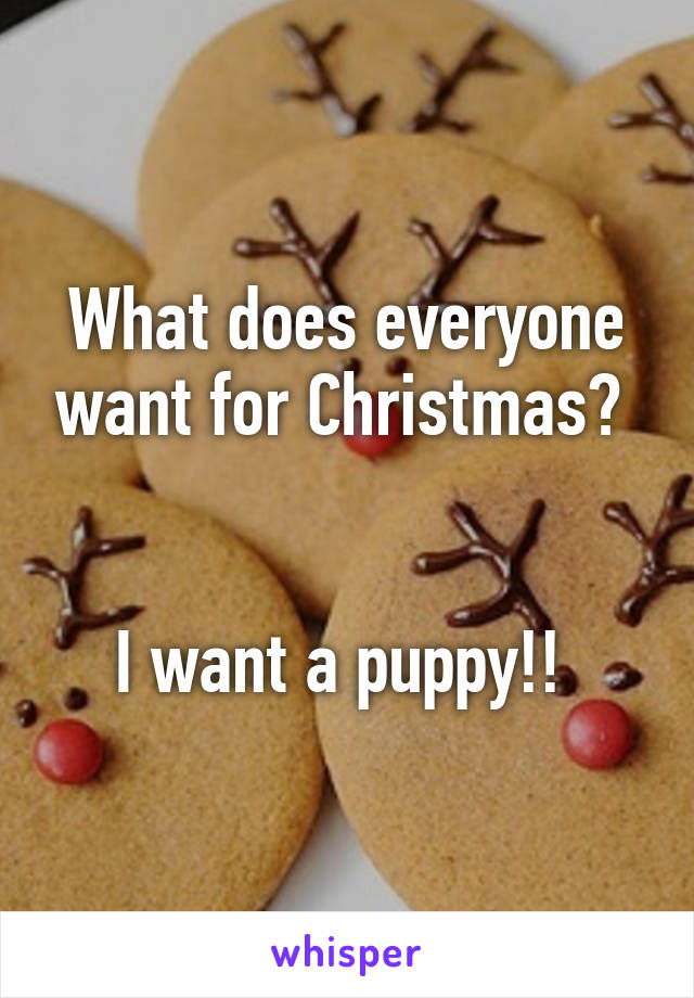 What does everyone want for Christmas? 


I want a puppy!! 