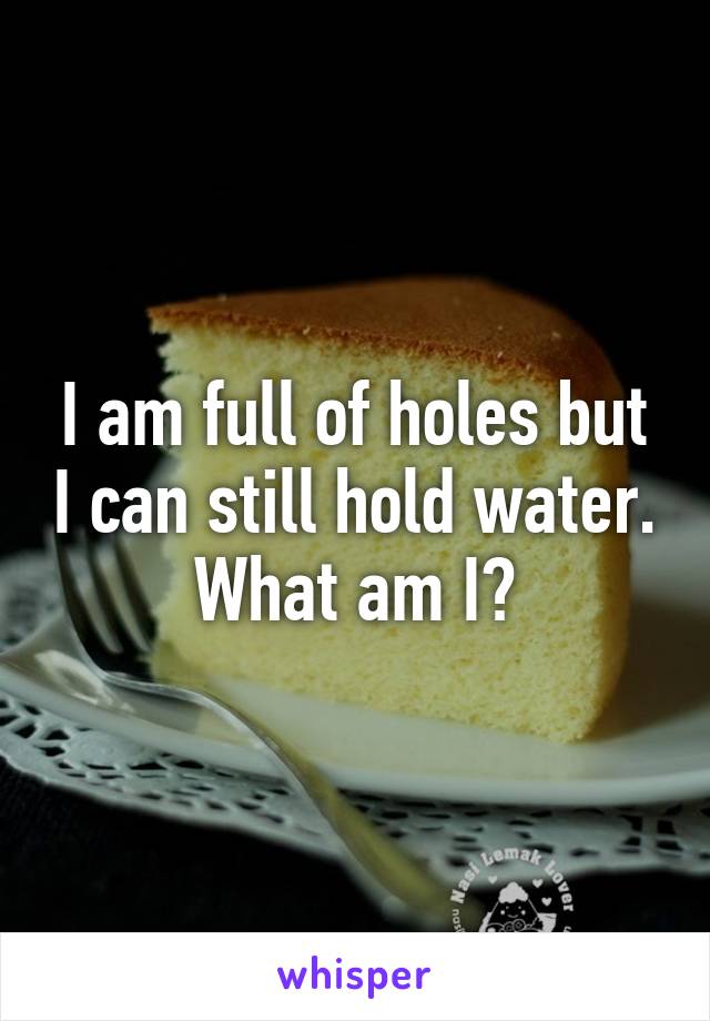 I am full of holes but I can still hold water. What am I?