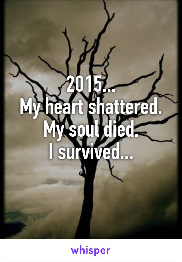 2015...
My heart shattered.
My soul died.
I survived...
