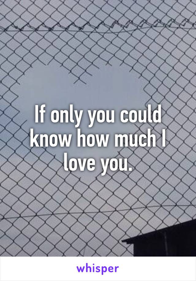 If only you could know how much I love you.